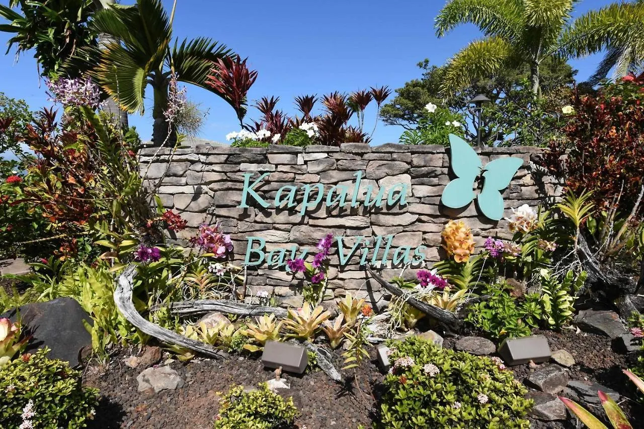 Kapalua Bay Villa 29B4 Villa Kahana